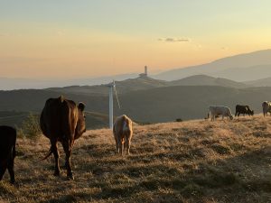 Китайският държавен телевизионен оператор взема малък дял в iQIYI, тъй като приходите падат · TechNode