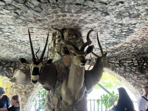 Китайските Zeekr и Lynk & Co преследват цел от 1 милион годишни продажби след сливането · TechNode