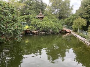 Глобални гласове изследват творчеството за устойчиви градове в Wuxi