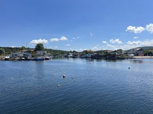 Пощенските услуги и услугите за доставка сега покриват всички селски райони в Xizang