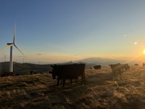 Unitree Robotics ускорява производството, за да отговори на нарастващото глобално търсене