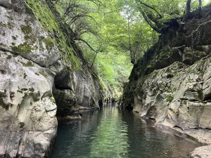 Китай остава магнит за чуждестранни инвестиции