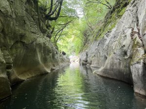 China Jushi открива огромна нова производствена линия в Jiangsu