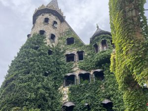 Китай е в силна позиция да даде тласък на индустрията на науките за живота, казва председателят на Roche