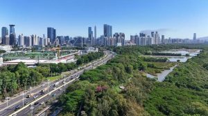 Investing in China is investing in future