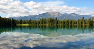 Заместник-председателят на комитета на провинция Jiangxi на CPPCC е обект на разследване