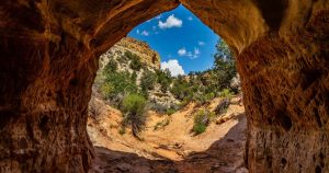 Recording a +27% Surge in Demand for Autumn Stays, HomeToGo Releases Fall Travel Report Alongside U.S. Leaf Peeping Index
