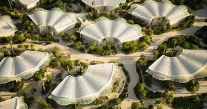 Welcoming Travelers to Shura Island: The Beating Heart of The Red Sea