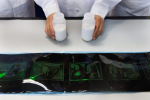 Учените разработват оптичен метаматериал за живи, дълготрайни цветове