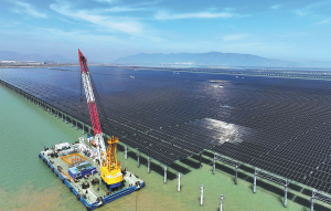 Слънчевият капацитет ще надмине въглищната енергия през 2026 г