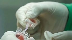 Китай изпраща ембриони в орбита, за да разбере дали хората могат да имат бебета в космоса